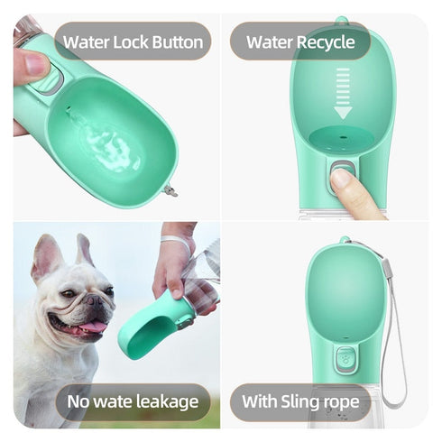 Water Dispenser Bottle